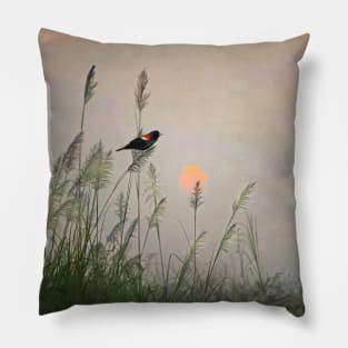 Red-winged Blackbird at Dusk Pillow
