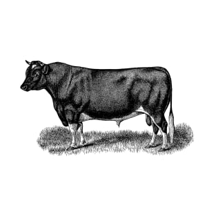 Black Bull Illustration T-Shirt