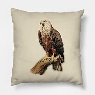 Bald Eagle - Raptor Pillow