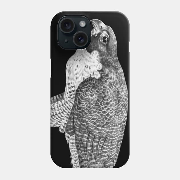 Peregrine Falcon Phone Case by Tim Jeffs Art