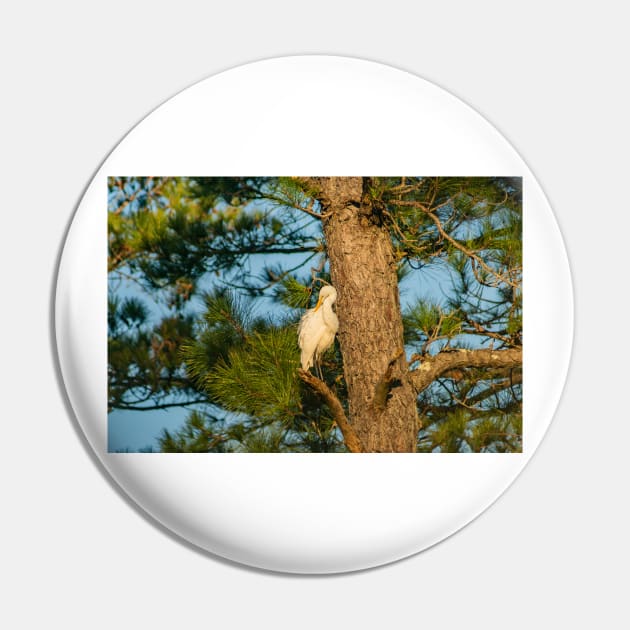 Wader Egret Pin by KensLensDesigns