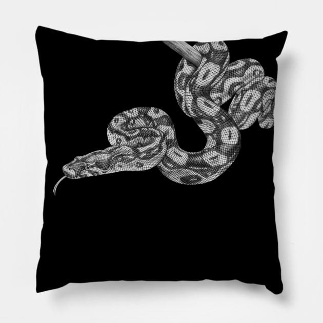 Boa Constrictor Pillow by Tim Jeffs Art