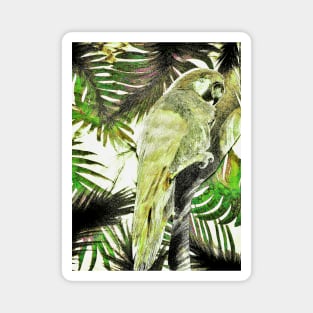 TROPICAL PARROT VINTAGE STYLE POSTER,DECO MACAW KHAKI GREEN ART PRINT Magnet