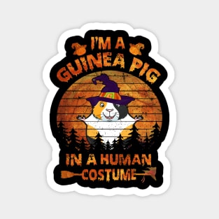 Guinea Pig Halloween Costumes (3) Magnet