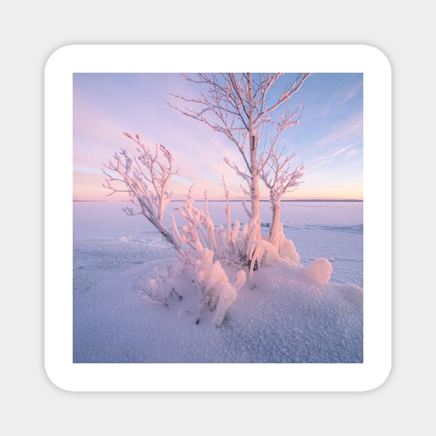 Winter spirit trees Magnet by Juhku