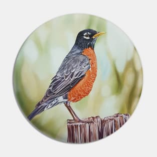 American Robin - bird painting Pin