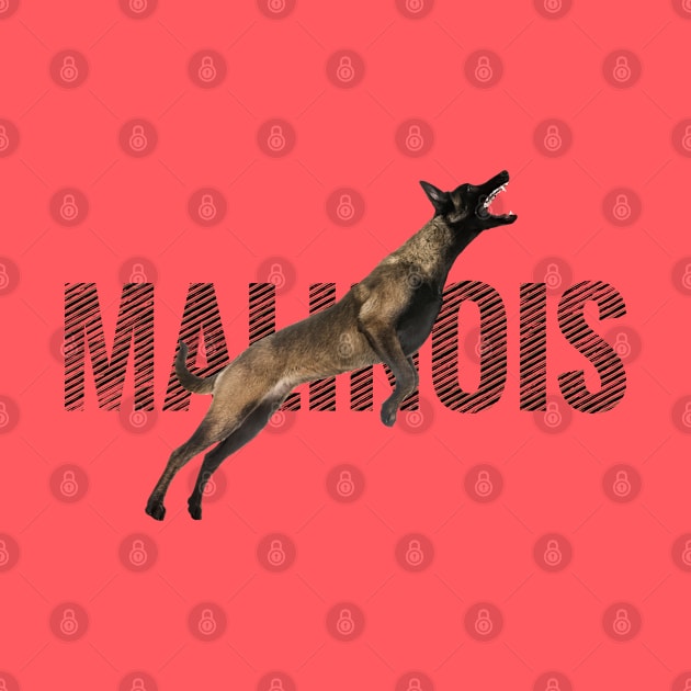 Malinois  - Belgian shepherd - Mechelaar by Nartissima