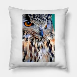 European Eagle Owl Bird of Prey Pillow