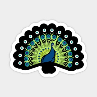 Peacock Magnet