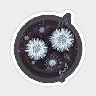 Blue asters Magnet