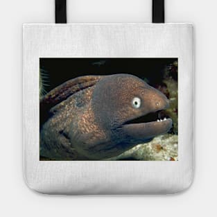 Bad Joke Eel Meme Tote