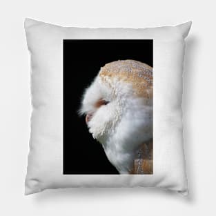 Barn Owl Pillow