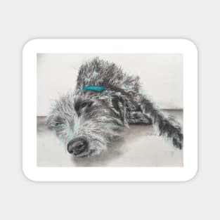 Sleeping scruffy Lurcher Magnet