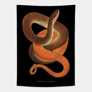 Auburn sunset snake Tapestry