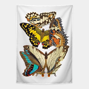 Butterflies Watercolor #6 Tapestry