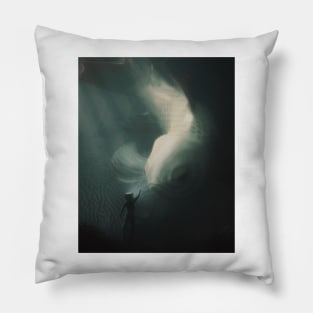 First Encounter Pillow