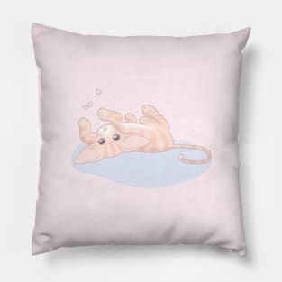 Red Shaded Oriental Shorthair Cat - Anime Aesthetic Cute Kitten Pillow