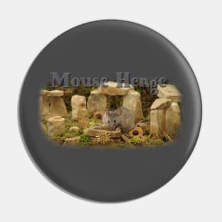 Mouse Henge summer solstice Pin