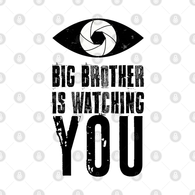 Big brother is watching you by RiverPhildon