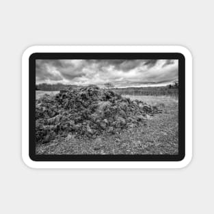 Muck heap in an arable field in the English countryside Magnet