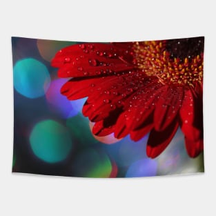 Red Rainbow Gerbera Tapestry