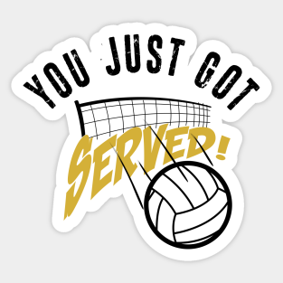 Funny Volleyball Quotes Stickers Teepublic