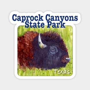 Caprock Canyons State Park & Trailway, Texas Magnet