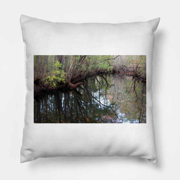 Moores Creek Pillow by Cynthia48