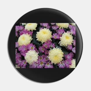 Chrysanthemums Pin