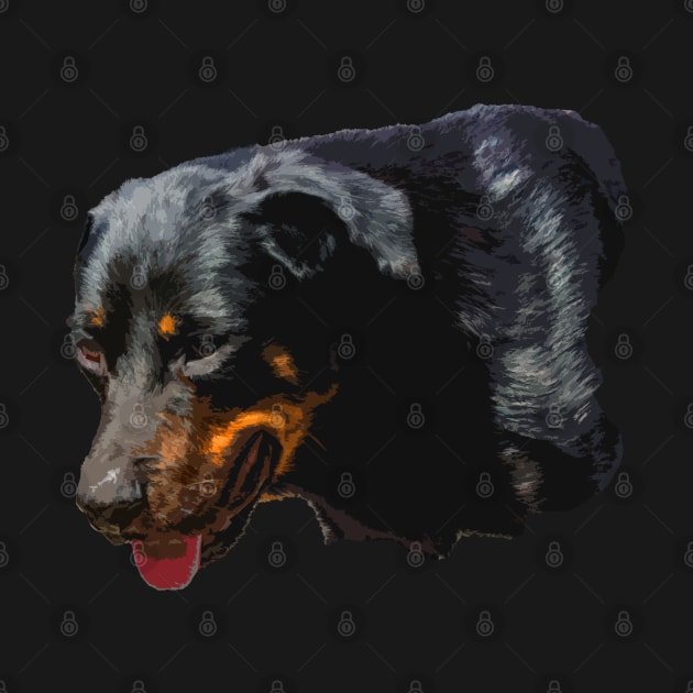 rottweiler by rickylabellevie