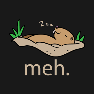 Meh Funny Groundhog Day T-Shirt