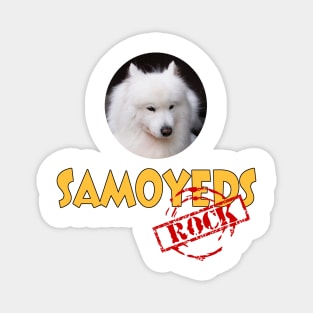 Samoyeds Rock! Magnet