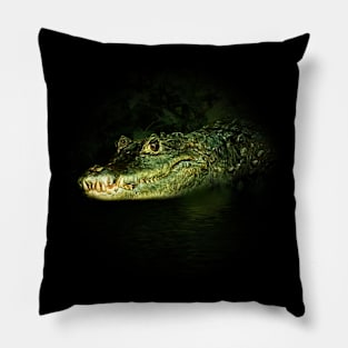 Dwarf crocodile Pillow