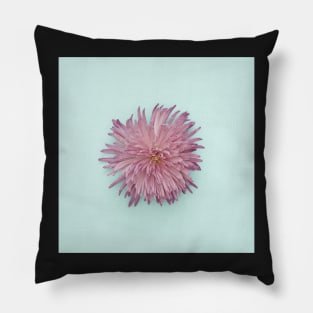 Isolated Flower on Turquoise Pillow