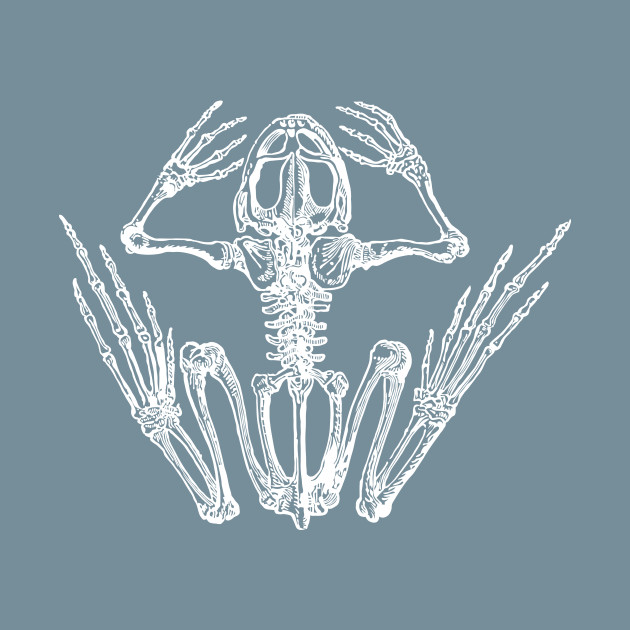 Disover Frog skeleton. - Frog Skeleton - T-Shirt