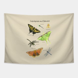 Butterflies and Dragonflies Tapestry