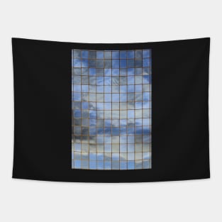 Blue & White In Windows Tapestry