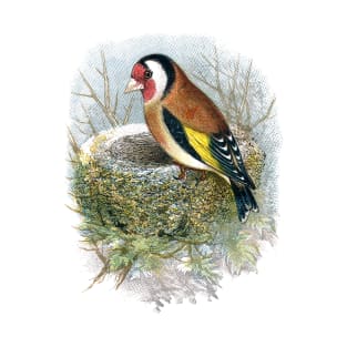 European goldfinch (Carduelis carduelis) T-Shirt