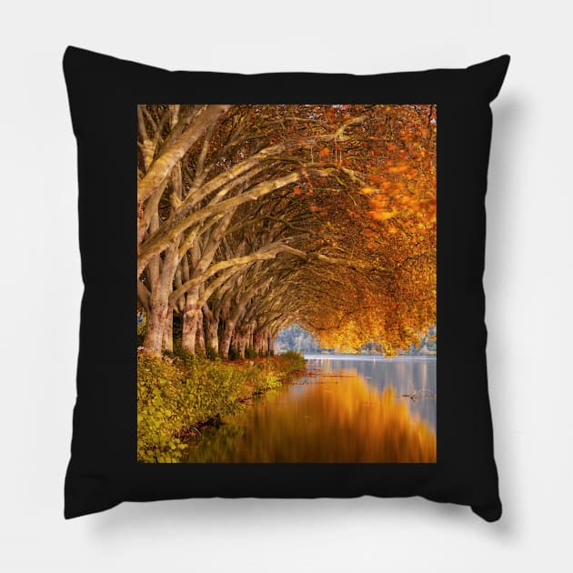 Autumn leaves design Pillow by IOANNISSKEVAS