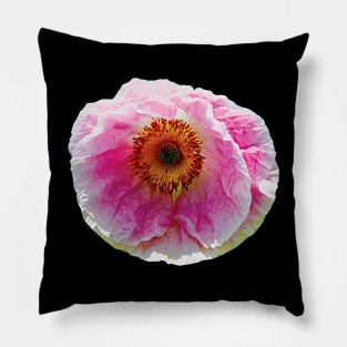 Large Pink Poppy Pillow