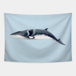 Baby Minke whale Tapestry