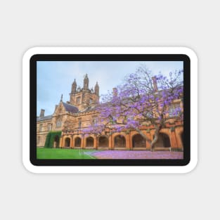 Spring Colour at Sydney Uni Magnet