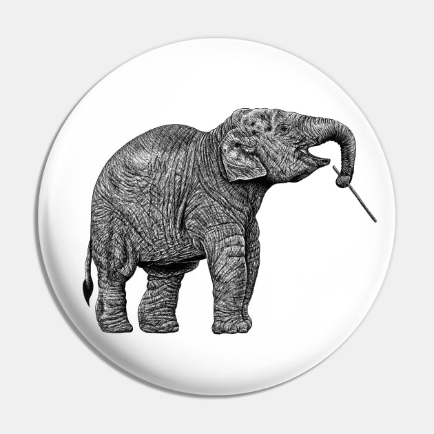 Baby Asian elephant Pin by lorendowding