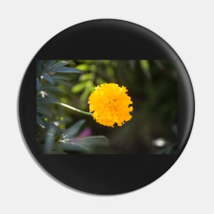 Marigold III Pin