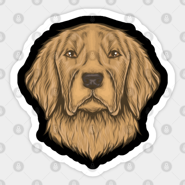 Golden Retriever Head Golden Retriever Sticker Teepublic