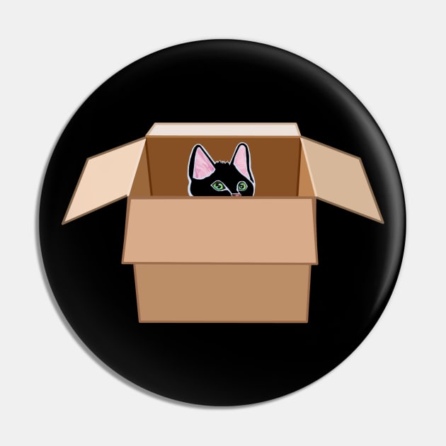 Black Kitten Peeking from Cardboard Box Pin by Art by Deborah Camp