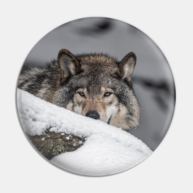 Eastern Gray Wolf Pin by jaydee1400