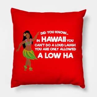 Funny Hawaii  Aloha Dad Joke Pillow