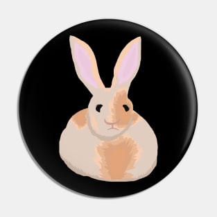 Goofy looking bunny Pin