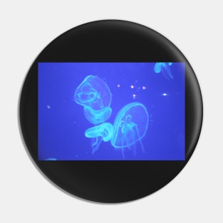 Jellyfish Blue 1 Pin